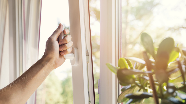 hand opening window near plant