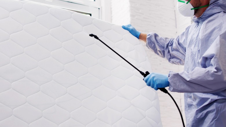 Exterminator spraying mattress