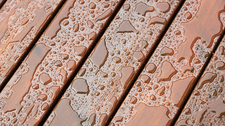 Rain on wood floor planks