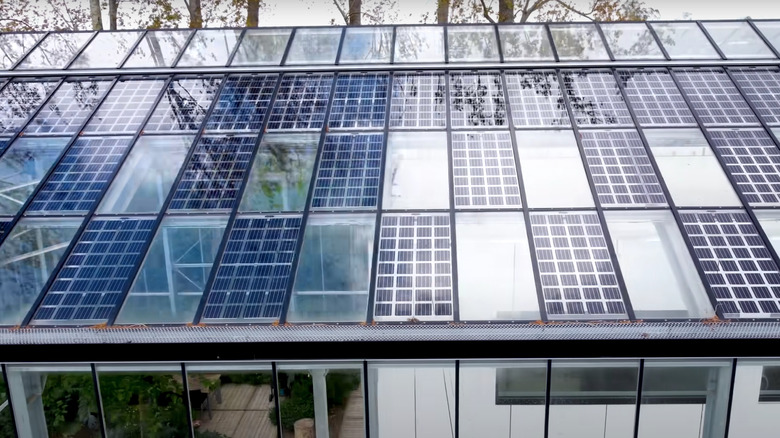 Solar panels on greenhouse