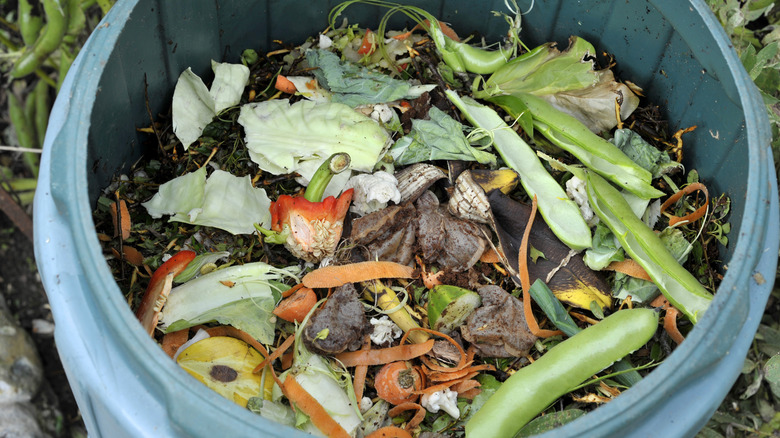 tea bags in compost bin
