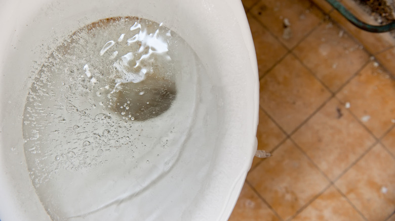 leaked water around toilet