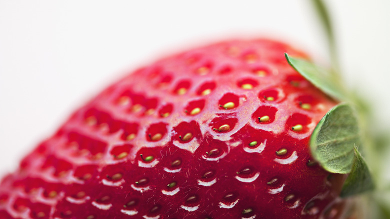 close up strawberry