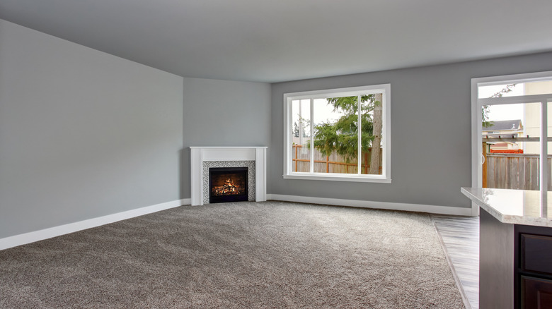 Living room with carpet floors