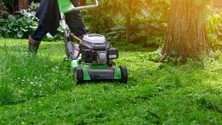 Someone using a green lawnmower