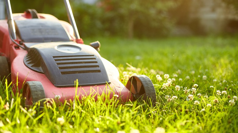 Red lawnmower on grass