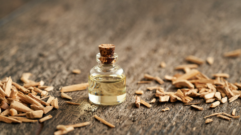 Cedar essential oil and shavings