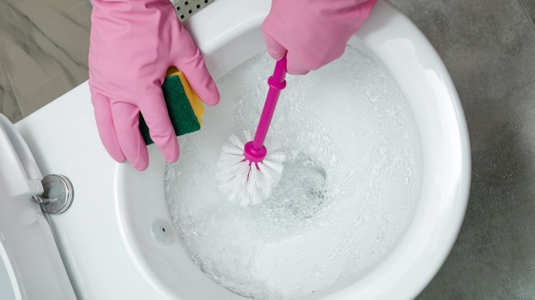 Person scrubbing toilet with brush