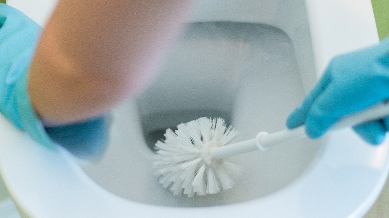 person scrubbing toilet bowl