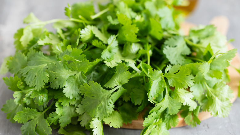 Cilantro on a wooden chopping board