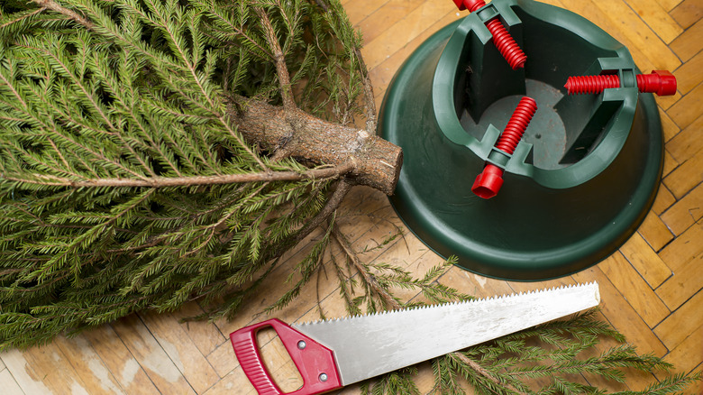 Cut Christmas tree and saw