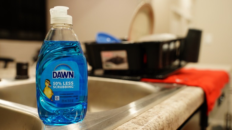 Dawn dish soap beside a sink