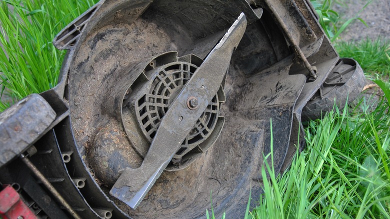 blunt lawn mower blade