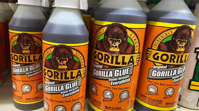 Gorilla glue bottles on the shelf in a store