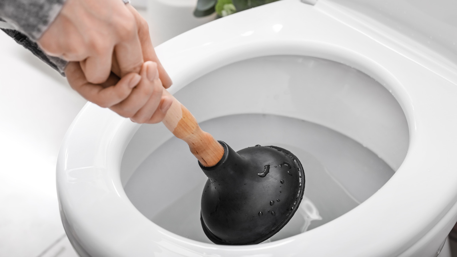 How to clear the toilet deals blocked