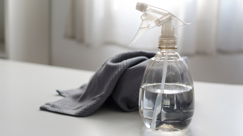 Vinegar in spray bottle 