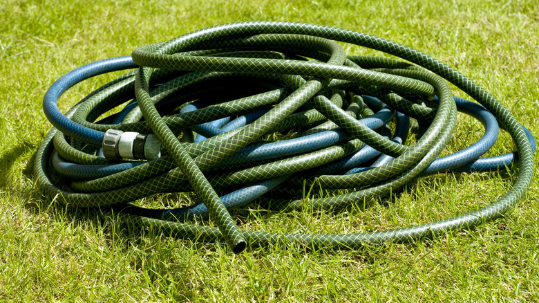 garden hose on grass