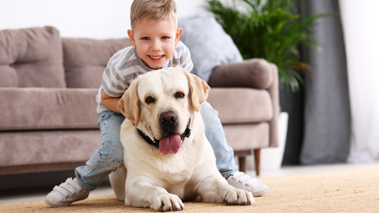 child and dog on carpet