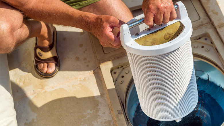 person removing a pool filter