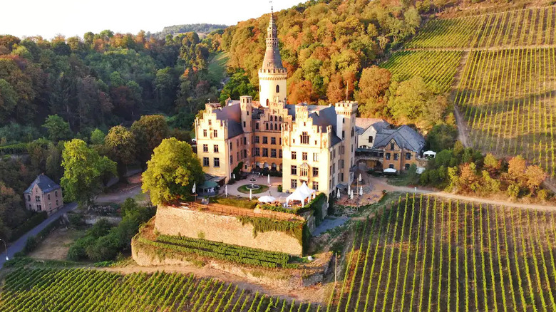 The forest-rich Arenfels Castle