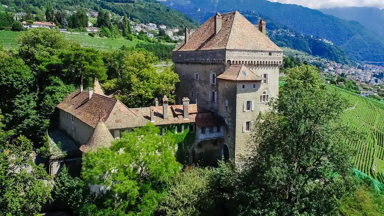 External view of the Chateau du Chatelard