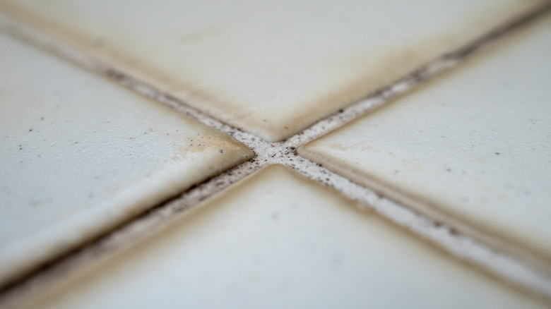 dirty grout around kitchen tiles