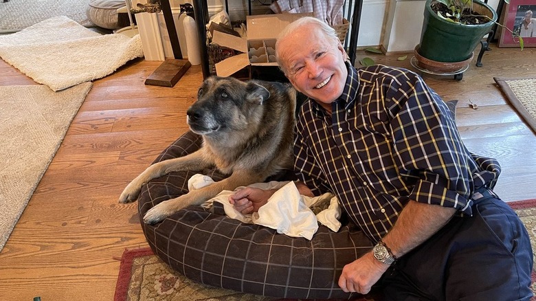 joe biden with dog