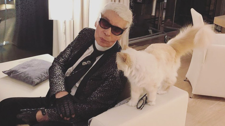 karl lagerfeld and cat