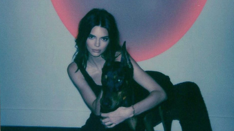 kendall jenner and dog