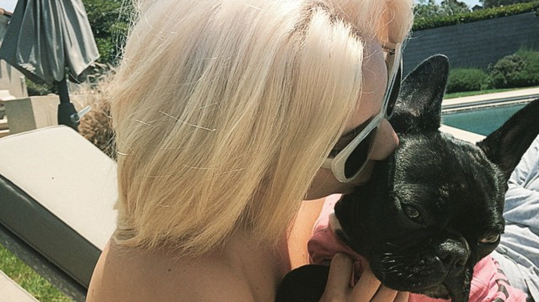 lady gaga with dog