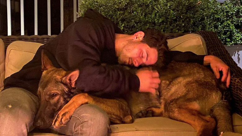 nick jonas with dog