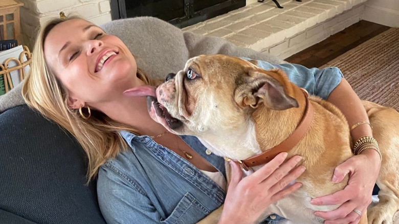 reese witherspoon with dog