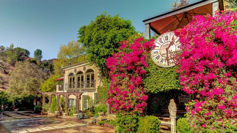 pink bougainvillea estate