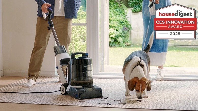 A carpet cleaner on a purplish blue background