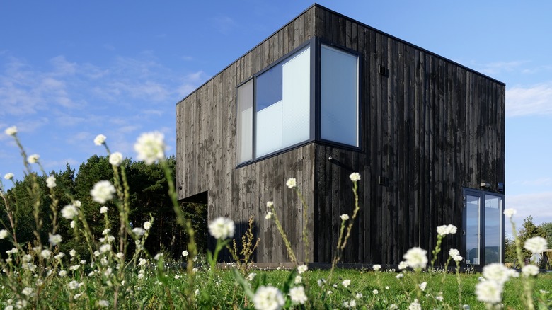 Exterior walls with shou sugi panels