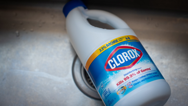 Bottle of Clorox bleach