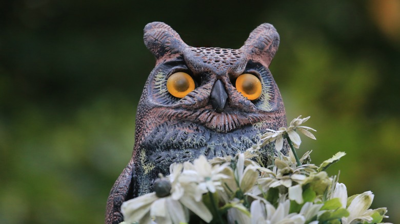 Fake owl behind flowers