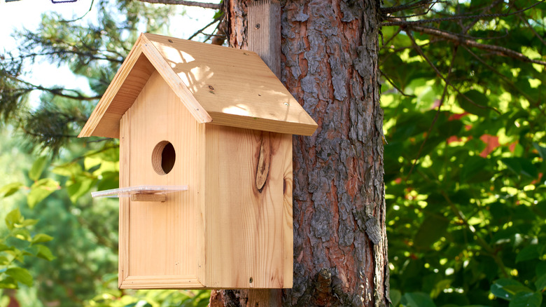 Small wooden birdhouse