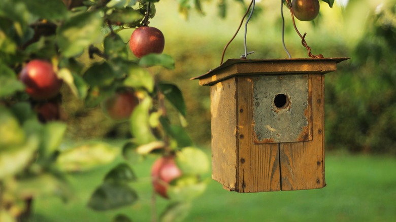 Perchless birdhouse with metal