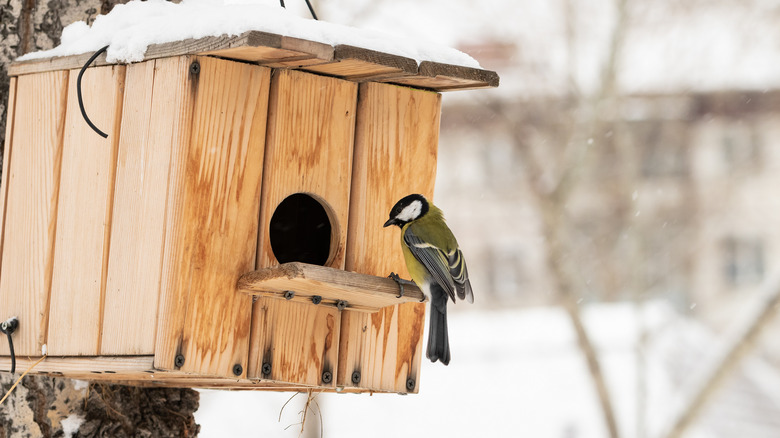 Birdhouse in winter
