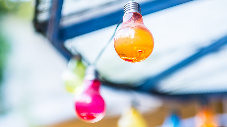 Two colored bulbs hanging outdoors