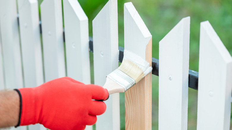 Gloved hand painting fence white