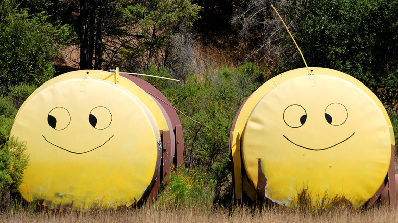 propane gas tanks smiley faces