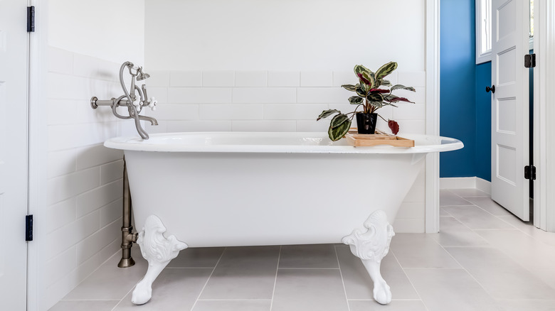 Clawfoot tub with plant