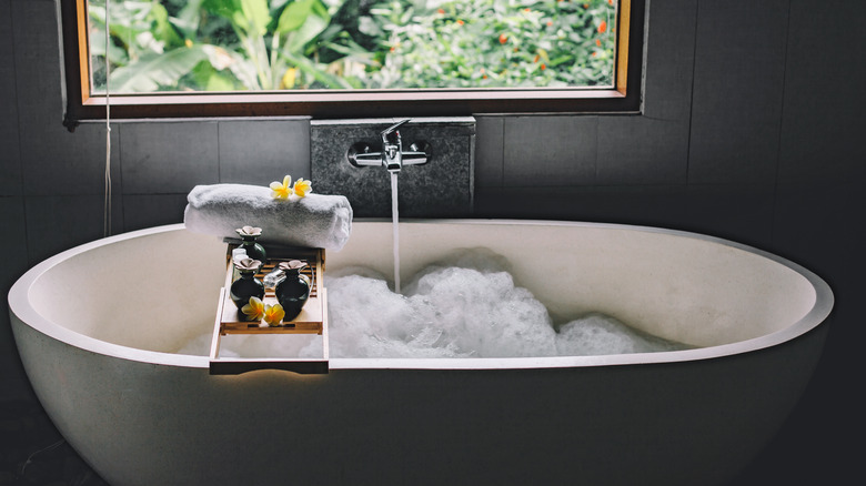 Bath tub by the window