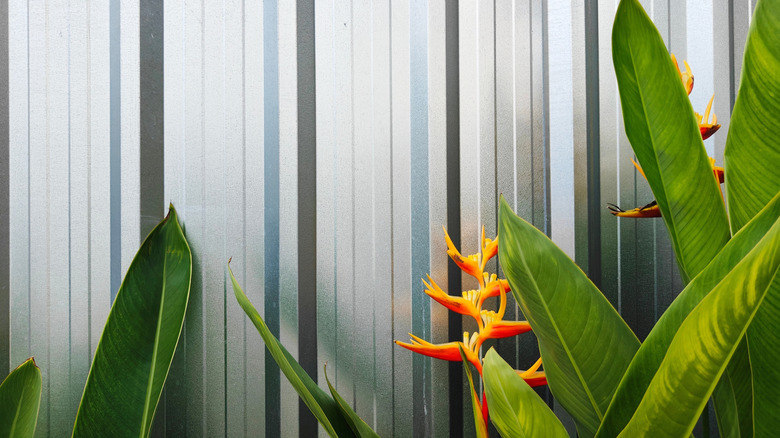 clean metal fence with flowers in front