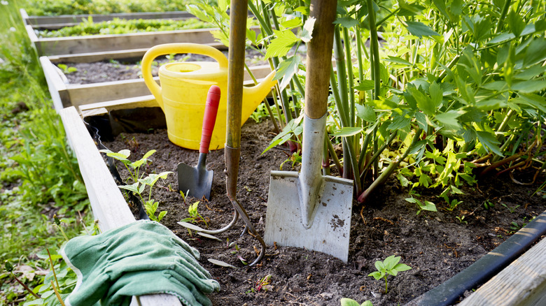 garden shovel and other tools