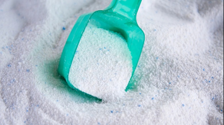 Scoop in powdered detergent