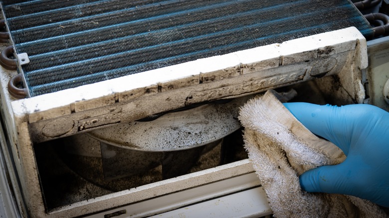 Wiping mold from air conditioner