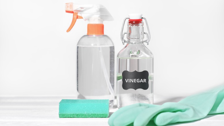 spray bottle with vinegar, gloves, and sponge